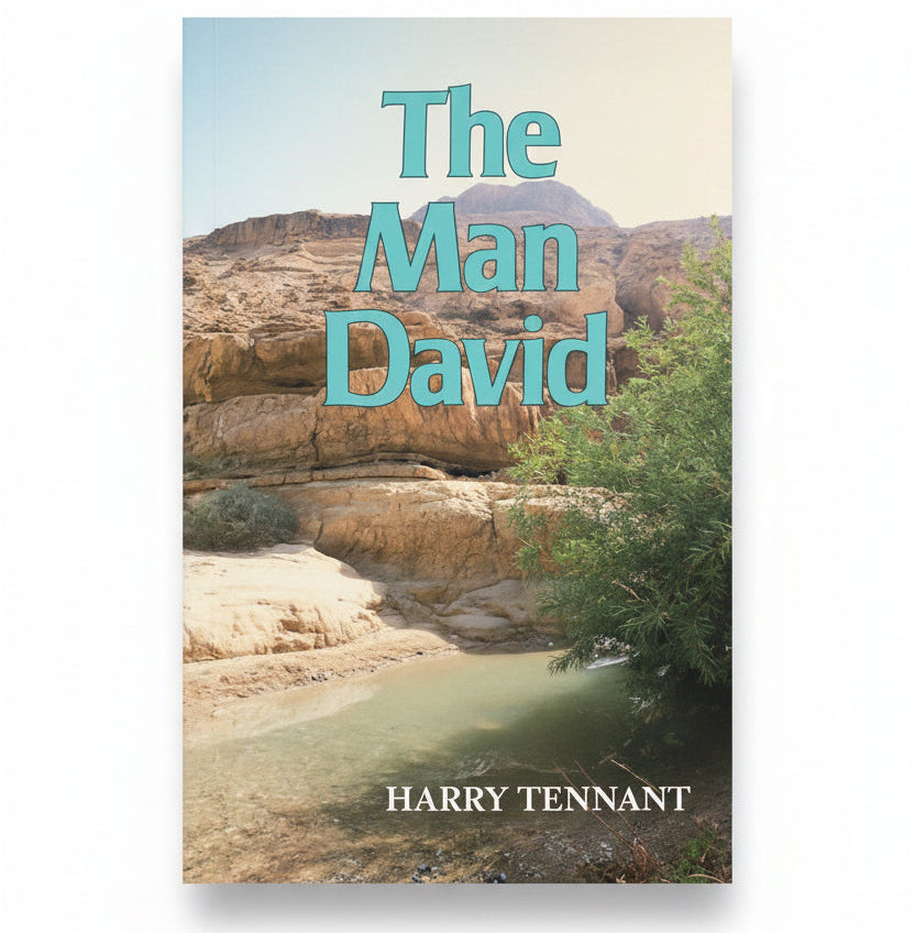 The Man David image 0