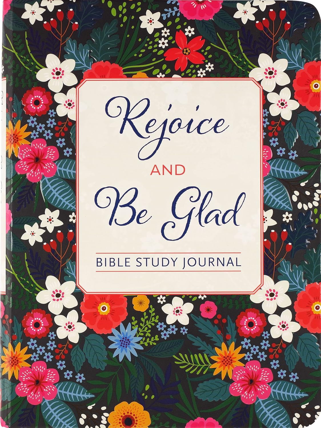 Rejoice and be glad, Bible study guide image 0