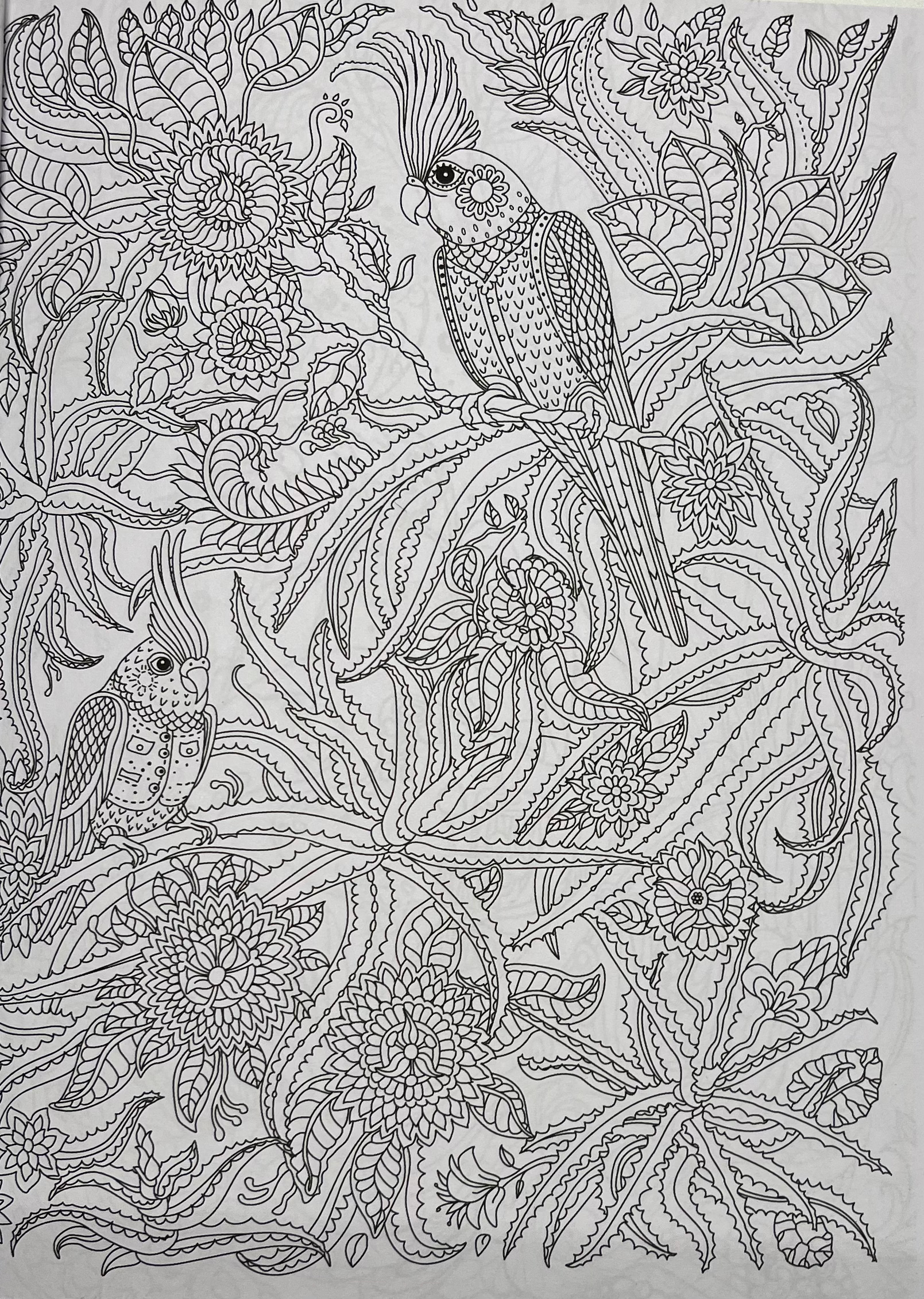 Colouring Forest image 1