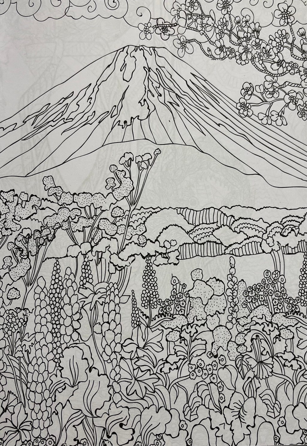 Colouring Forest image 2