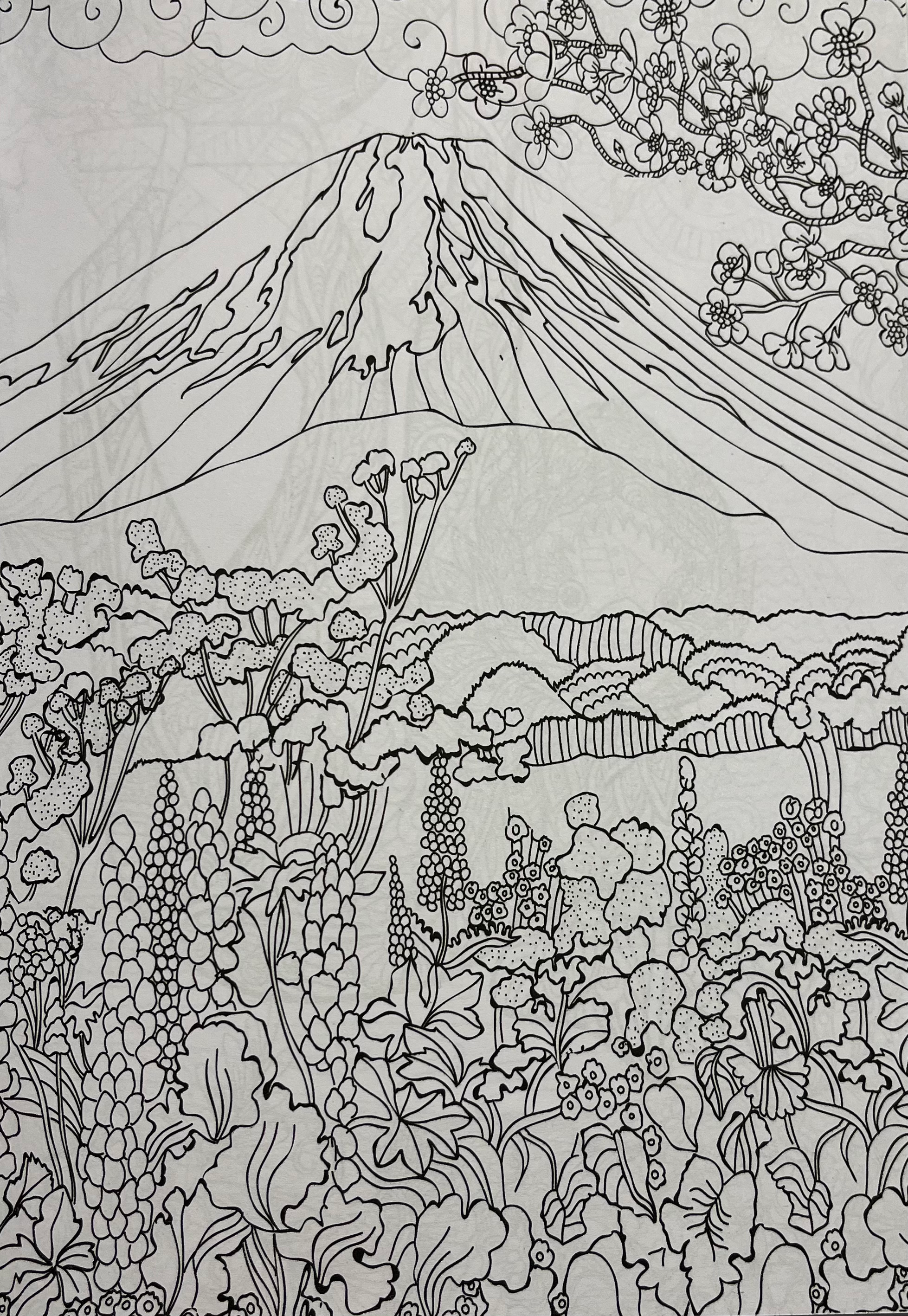 Colouring Forest image 2