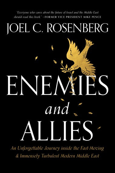 Enemies and Allies image 0