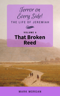That Broken Reed - Terror on Every Side image 0