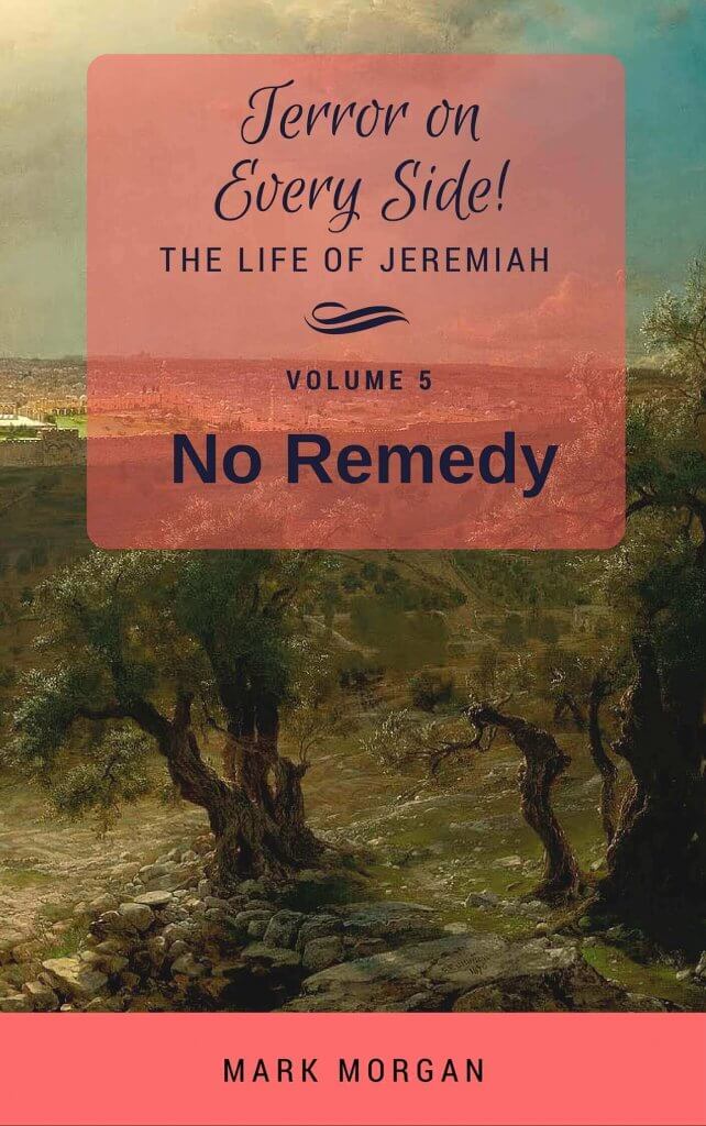 No Remedy - Book 5 Terror on every side series image 0