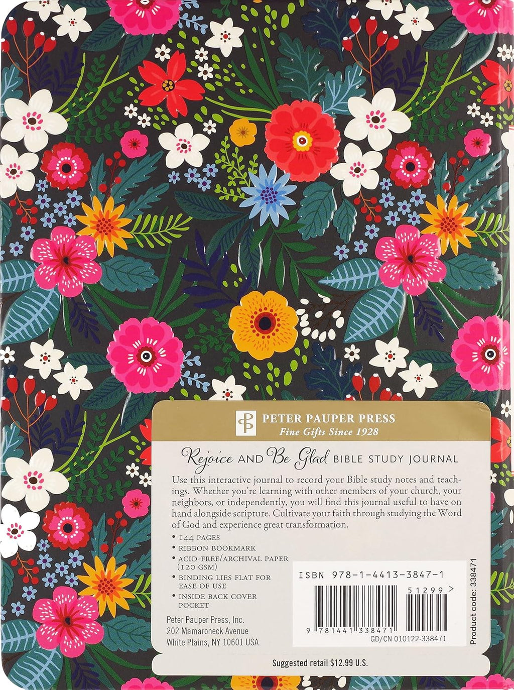 Rejoice and be glad, Bible study guide image 1