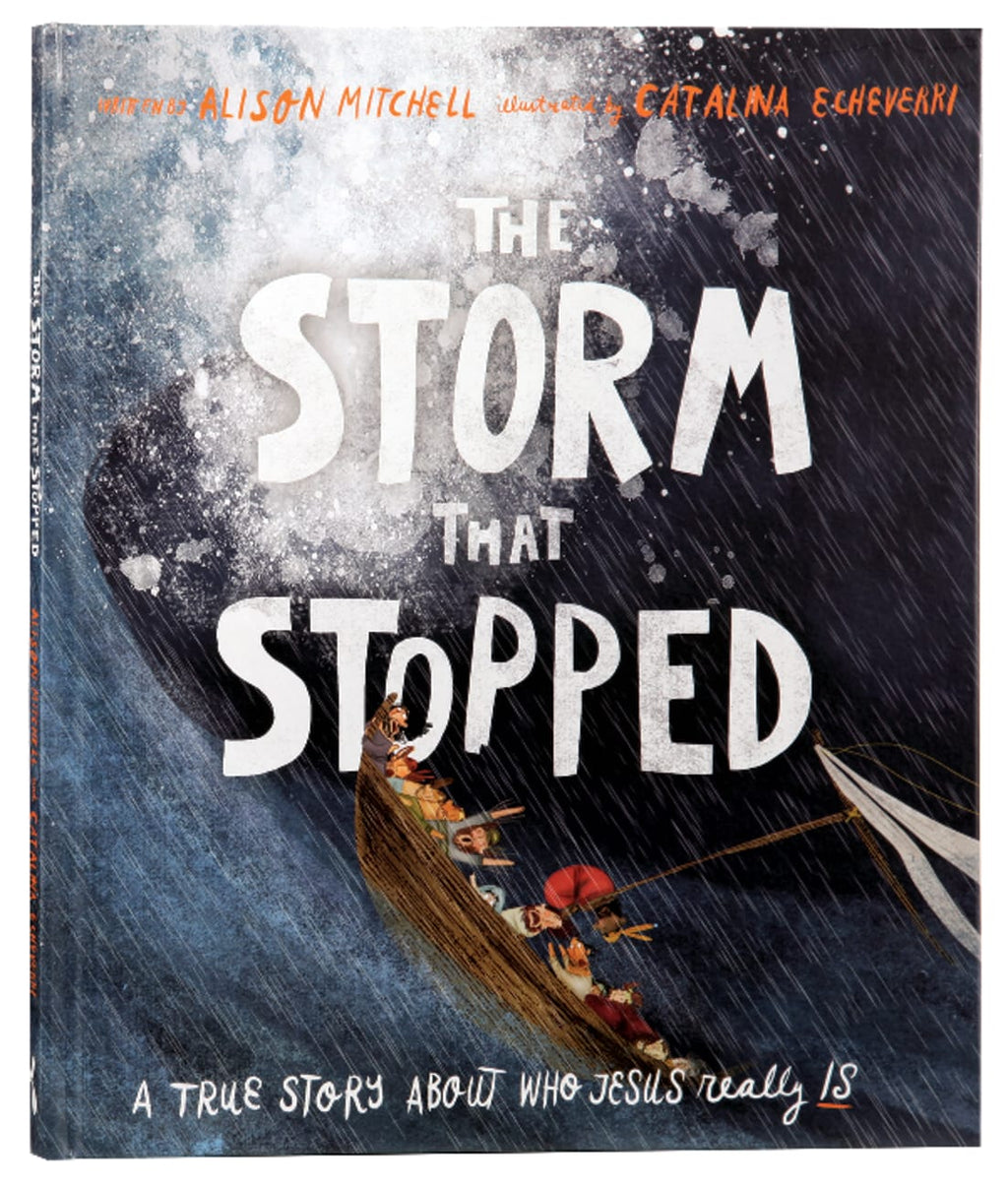 The storm that stopped image 0