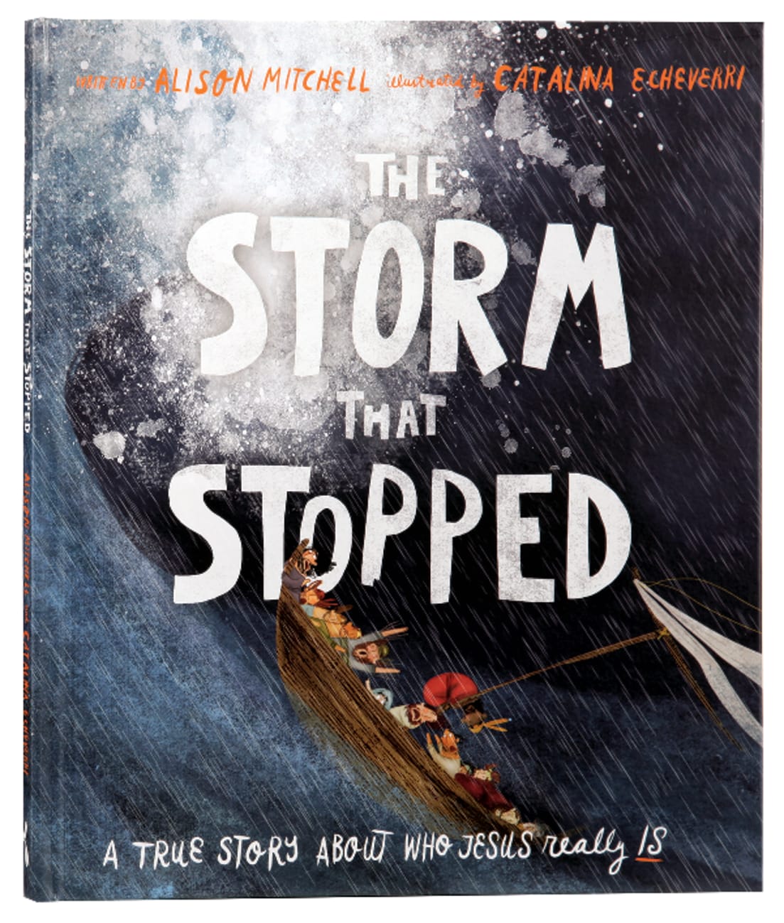 The storm that stopped image 0
