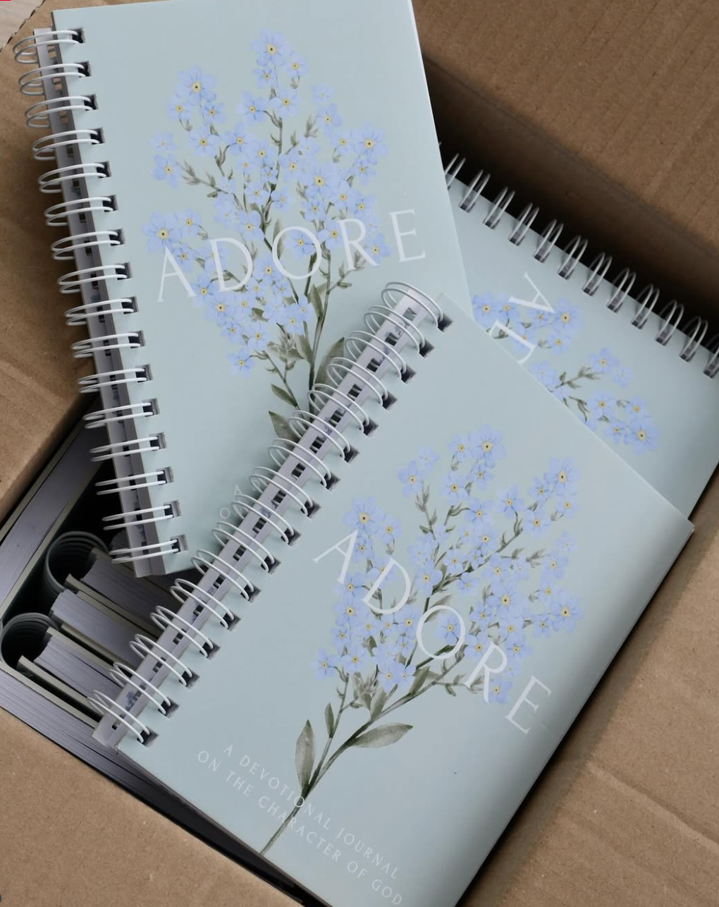 Adore - a devotional journal on the character of God image 0