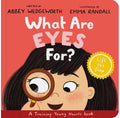 What are eyes for? image 0